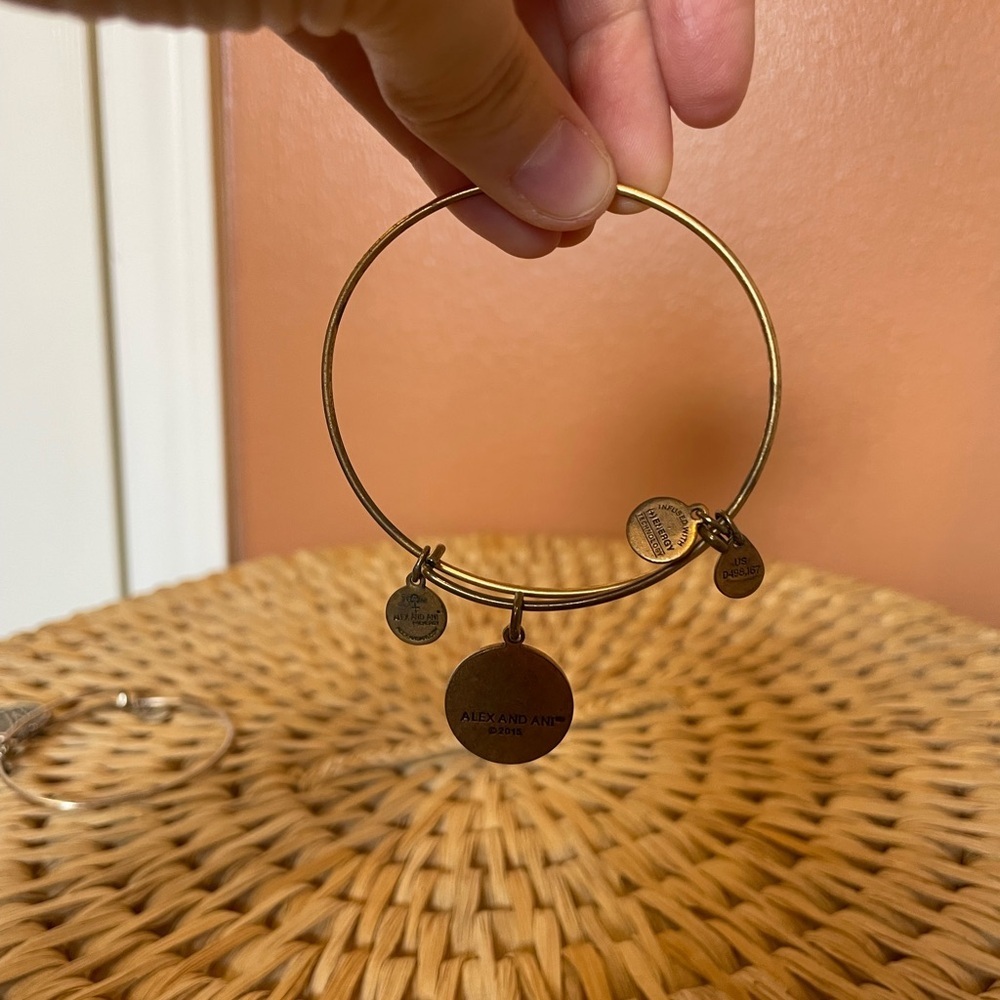 Alex & Ani “M” Initial Expandable Bangles Set of 2 - Picture 5 of 5
